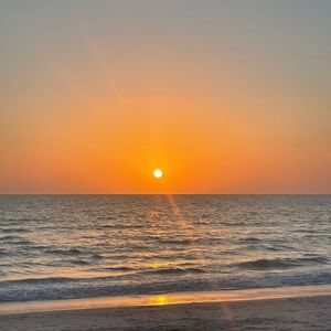 Meet your Posher, Teddy